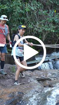 BIB:  <button type="button" onclick="openModal(27666055)" class="btn btn-primary btn-sm float-right" data-toggle="modal" data-target=".modal-high-quality">
                <i class="fa fa-download"></i> Download
                </button>